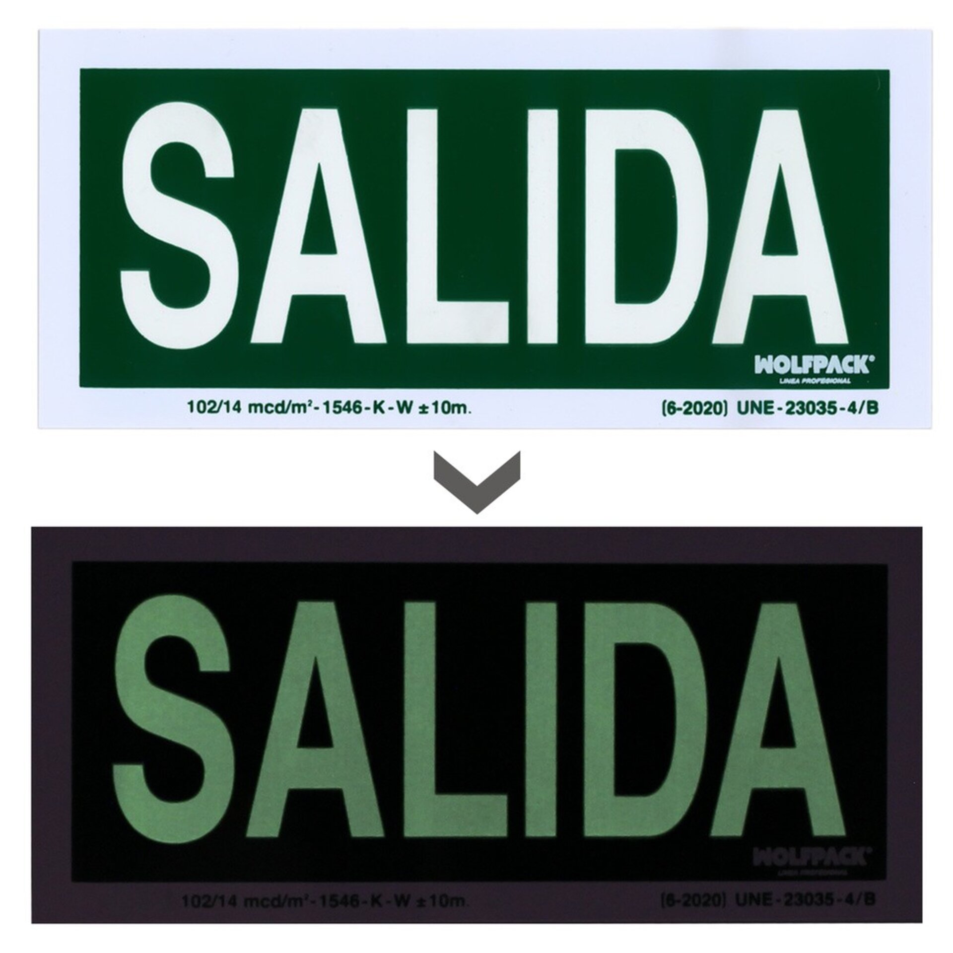 Cartel Fluorescente Salida 22x 10 cm. - 2